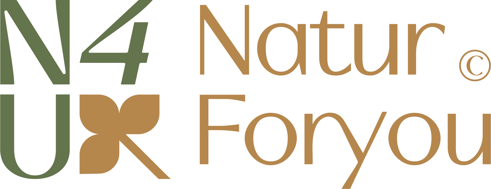 NaturForyou logo